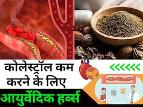 हाई कोलेस्ट्रॉल को तेजी से घटा सकती हैं 5 आयुर्वेदिक औषधियां, नहीं पड़ेगी दवा की जरूरत
