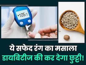डायबिटीज का दुश्मन है ये सफेद रंग का बीज, High Blood Sugar की हमेशा के लिए हो जाएगी छुट्टी डायबिटीज का दुश्मन है ये सफेद रंग का बीज, High Blood Sugar की हमेशा के लिए हो जाएगी छुट्टी
