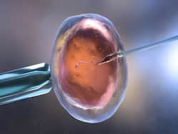 Alabama IVF Ruling: Court Rules 'Embryos Are Children', How Does This Impact Healthcare And Fertility?
