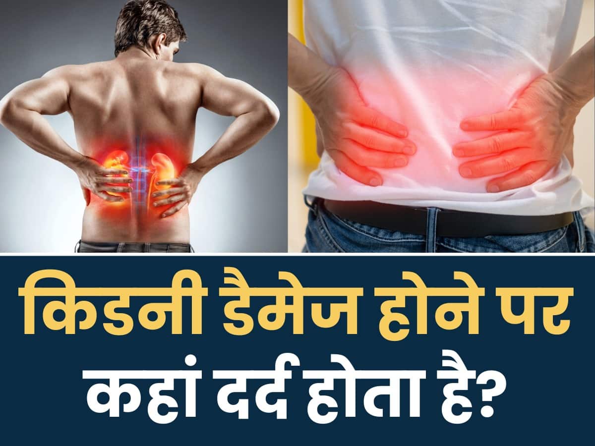 Kidney Kharab Hone Par Dard Kahan Hota Hai शरीर के इन 5 हिस्सों में