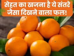 संतरे जैसा दिखने वाला ये फल है कैल्शियम से भरपूर, मोटापे से लेकर कोलेस्ट्रॉल तक की कर सकता है छुट्टी