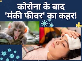 कर्नाटक में तेजी से बढ़ रहे हैं मंकी फीवर के मामले, जानें इसके लक्षण, कारण और बचाव के तरीके
