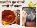 सरसों के तेल में इन 2 चीजों को मिलाकर लगाने से सफेद बाल होंगे काले, हफ्तेभर में दिखेगा असर