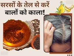 सरसों के तेल में इन 2 चीजों को मिलाकर लगाने से सफेद बाल होंगे काले, हफ्तेभर में दिखेगा असर