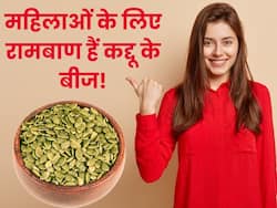 महिलाओं के लिए वरदान से कम नहीं हैं कद्दू के बीज, इन 5 समस्याओं से दिलाते हैं छुटकारा