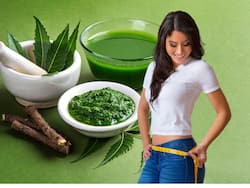 Quick Weight Loss Tips: Top 5 Ayurvedic Diet Routine To Lose 10 Kgs In One Month