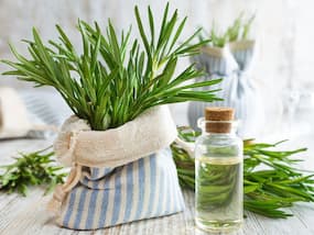 Rosemary Essential Oil For Lowering Cholesterol: 7 Ways Rosemary Oil Can Help Flush Out Bad LDL Cholesterol