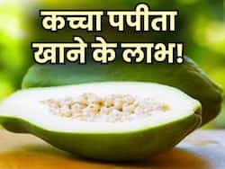 डाइजेशन से लेकर डायबिटीज तक में लाभ पहुंचाता है कच्चा पपीता, रोज खाने से होगा फायदा
