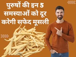 पुरुषों की इन 5 समस्याओं का रामबाण इलाज है मूसली, स्टैमिना से लेकर स्पर्म काउंट बढ़ाने में है बेस्ट
