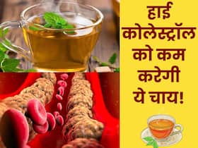 Bad Cholesterol को नसों से खींचकर बाहर निकाल देगी इस पत्ते से बनी चाय, घर पर इस तरह करें तैयार