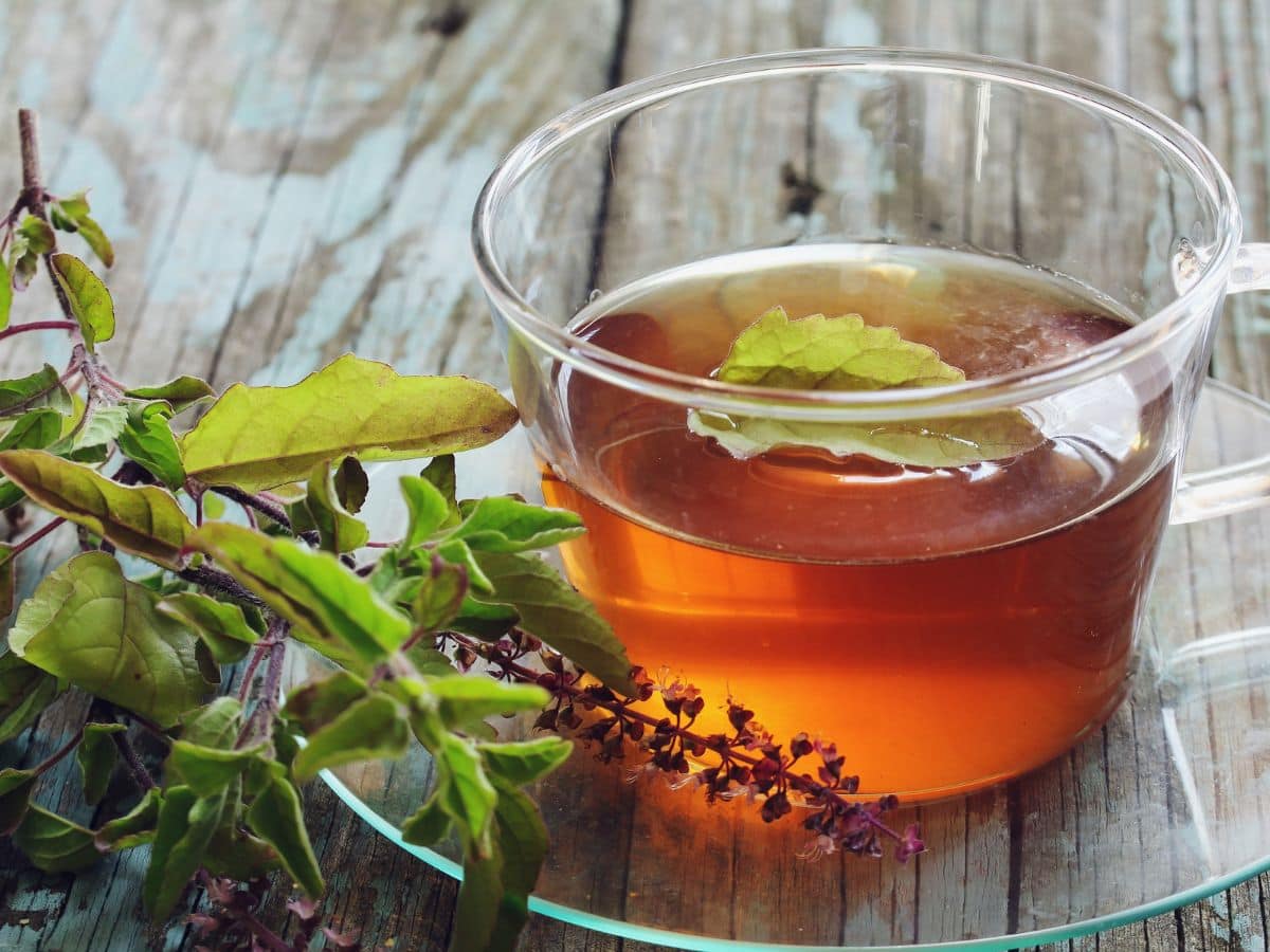 Tea For Belly Fat Loss: How Does It Work On Your Body?