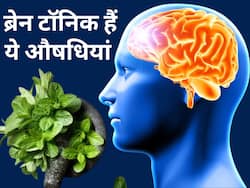 तनाव को दूर कर आपको हर समय खुश रखेगी ये हर्बल ड्रिंक्स, जानिए ब्रेन हेल्थ के लिए बेस्ट हर्ब