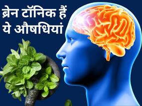 तनाव को दूर कर आपको हर समय खुश रखेगी ये हर्बल ड्रिंक्स, जानिए ब्रेन हेल्थ के लिए बेस्ट हर्ब