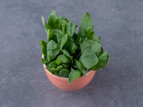 Vallarai Keerai: Learn All About The Multifaceted Health Benefits Of This Medicinal Herb Vallarai Keerai: Learn All About The Multifaceted Health Benefits Of This Medicinal Herb