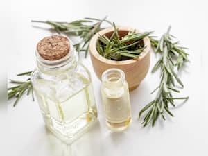Can Rosemary Oil Improve Overall Well-Being?