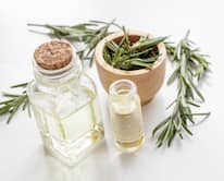 Can Rosemary Oil Improve Overall Well-Being?