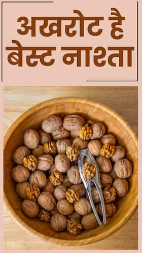 सुबह नाश्ते में खाएं अखरोट, ब्रेन से लेकर बाल सबकी हेल्थ में होगा सुधार, होंगे ये 6 फायदे सुबह नाश्ते में खाएं अखरोट, ब्रेन से लेकर बाल सबकी हेल्थ में होगा सुधार, होंगे ये 6 फायदे