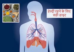 ब्रेकफास्ट में शामिल करें ये 5 फूड्स शीशे की तरह साफ रहेंगे आपके फेफड़े, स्मोकर्स को भी मिलेगा जबरदस्त फायदा