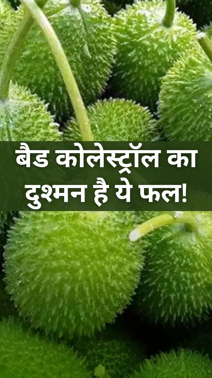 शरीर में भरे हुए बैड कोलेस्ट्रॉल को बाहर कर देगा ये फल