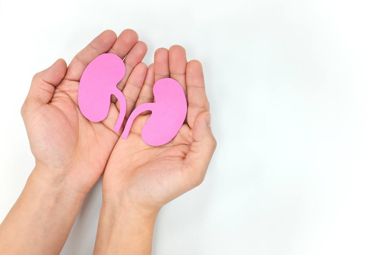 Navigating Life With Kidney Disease: Practical Advice And Resources - Vimarsana News