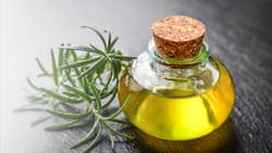 Can We Mix Rosemary Oil With Mustard Oil?