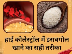 एक-एक नस में जमे कोलेस्ट्रॉल को शरीर से बाहर निकाल देगा इसबगोल, इन 5 तरीकों से कर सकते हैं सेवन