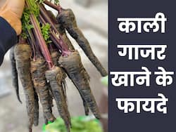 दिल को सेहतमंद रखने से लेकर डायबिटीज तक में फायदेमंद है काली गाजर, जानें इसके फायदे