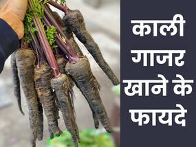 दिल को सेहतमंद रखने से लेकर डायबिटीज तक में फायदेमंद है काली गाजर, जानें इसके फायदे