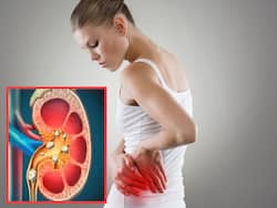 किडनी डैमेज होने से पहले ही शरीर में दिखने लगते हैं ये 4 संकेत, ज्यादातर लोग साधारण समझकर कर देते हैं इग्नोर