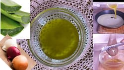 How Do You Use Onion, Aloe Vera, And Coconut Oil For Hair Growth?