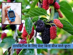 डायबिटीज के लिए किसी दवा से कम नहीं बिना बीजों वाले ये 5 फल, ब्लड शुगर के मरीज आज से ही करें सेवन शुरू