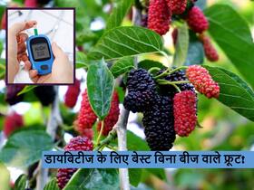 डायबिटीज के लिए किसी दवा से कम नहीं बिना बीजों वाले ये 5 फल, ब्लड शुगर के मरीज आज से ही करें सेवन शुरू डायबिटीज के लिए किसी दवा से कम नहीं बिना बीजों वाले ये 5 फल, ब्लड शुगर के मरीज आज से ही करें सेवन शुरू