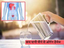 कम पानी पीने के कारण सिर्फ किडनी नहीं बल्कि डैमेज हो सकते हैं शरीर के ये 4 अंग, जानें सबसे ज्यादा किन्हें खतरा
