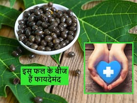 दुकान पर बहुत महंगे मिलते हैं इस फल के बीज, व्यर्थ समझकर फेंकने से पहले जान लें इसके 5 जबरदस्त फायदे