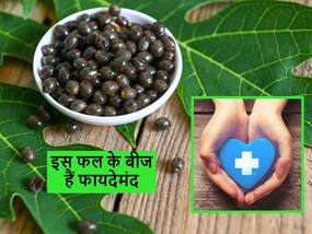 दुकान पर बहुत महंगे मिलते हैं इस फल के बीज, व्यर्थ समझकर फेंकने से पहले जान लें इसके 5 जबरदस्त फायदे