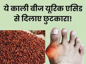 इस काले रंग के बीज से शरीर से हवा की तरह उड़ जाएगा यूरिक एसिड, रोजाना ऐसे करें सेवन इस काले रंग के बीज से शरीर से हवा की तरह उड़ जाएगा यूरिक एसिड, रोजाना ऐसे करें सेवन