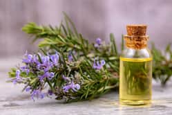 How Should Rosemary Oil Be Used To Avoid Migraines?