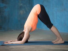 Discover The Healing Power Of Dolphin Yoga Pose