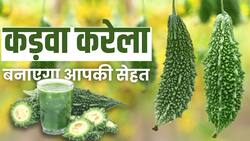 Karela Benefits: डाइट में करेला शामिल करने से आपको मिलेंगे ये सभी फायदे