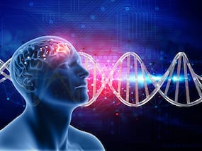 Neuroscience Breakthrough: How Walking Rhythms Influence Visual Perception