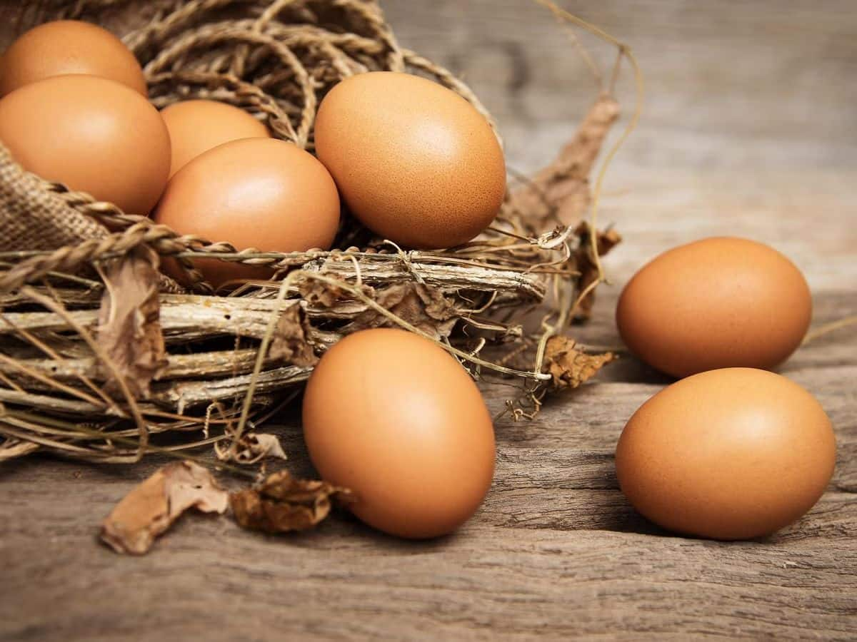 Eggs For High Cholesterol Patients: 7 Dangerous Side Effects of Eating Eggs