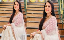 Actress Dolly Sohi Death: टीवी एक्ट्रेस डॉली सोही का निधन, सर्वाइकल कैंसर से पीड़ित थीं अभिनेत्री