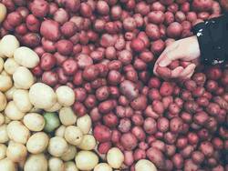 Red Potato Nutrition Facts and Health Benefits: Top 5 Unknown Benefits of The Red Vegetable