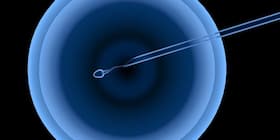 Exploring The Impact Of Artificial Intelligence In Reproductive Healthcare Exploring The Impact Of Artificial Intelligence In Reproductive Healthcare