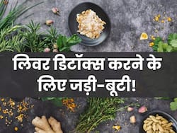 लिवर डिटॉक्स करने में कारगर हैं ये आयुर्वेदिक जड़ी-बूटियां, बस जान लें इस्तेमाल का सही तरीका