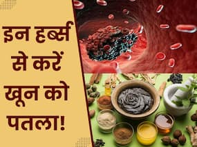 आयुर्वेद की इन 3 जड़ी बूटियों से ब्लड क्लॉटिंग को जड़ से करें खत्म, कुछ ही दिनों में खून हो जाएगा पतला