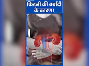 Kidney Health को बर्बाद कर देती हैं ये 5 आदतें, आज ही करें सुधार