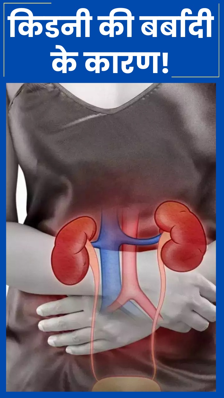 Kidney Health рдХреЛ рдмрд░реНрдмрд╛рдж рдХрд░ рджреЗрддреА рд╣реИрдВ рдпреЗ 5 рдЖрджрддреЗрдВ, рдЖрдЬ рд╣реА рдХрд░реЗрдВ рд╕реБрдзрд╛рд░