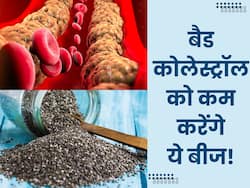 धमनियों में जमे गंदे कोलेस्ट्रॉल को झट से बाहर निकाल देंगे ये छोटे बीज, बस ऐसे करें सेवन