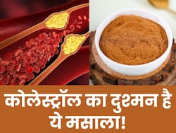 नसों में जमा कोलेस्ट्रॉल को पिघलाकर बाहर कर देगा किचन में रखा ये मसाला, बस ऐसे करें इस्तेमाल